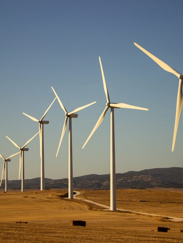 landscape-with-windmills